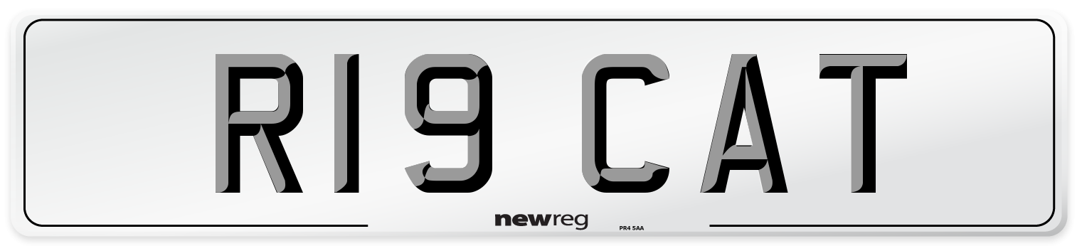 R19 CAT Number Plate from New Reg